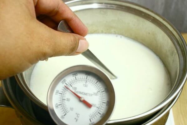 Improving milch animal productivity